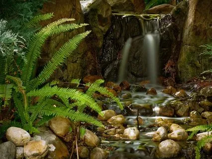 Gratitude In Mindfulness