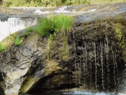 Gratitude In Motion: Give And Receive Calm