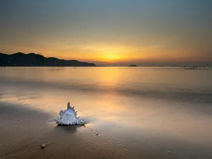 Gratitude In The Early Morning: Relaxation Divine