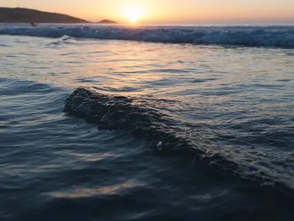 Gratitude In The Moment