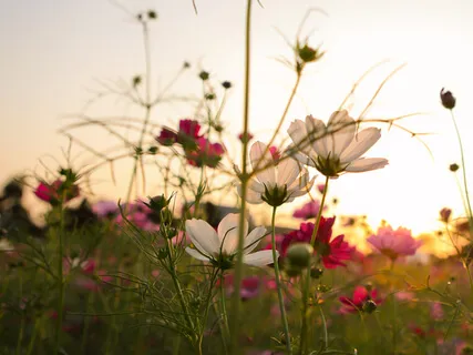 Gratitude In This Moment: Meditative Exercise