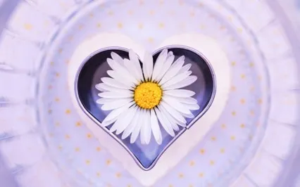 Gratitude Integration