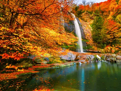 Gratitude Is That Magic Pill We Are Searching For