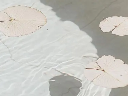 A Gratitude Reset When You Feel Low