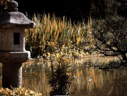 Gratitude Meditation | What We Have Is Enough