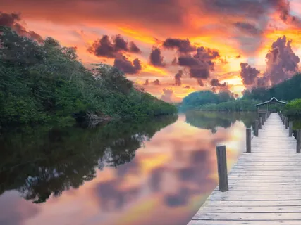 Sinking Into Gratitude  