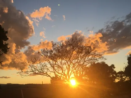 Gratitude Meditation - 10 Minutes