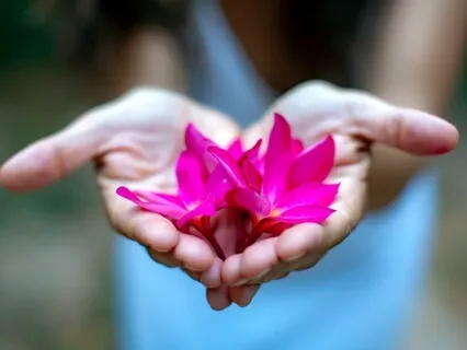 Focus On Being Grateful