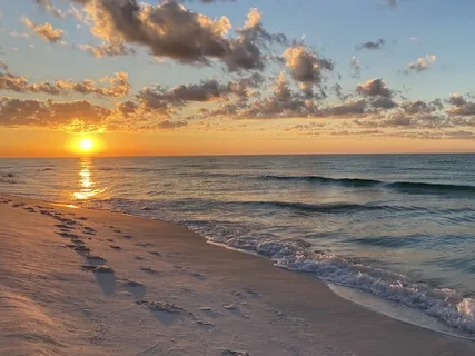 Gratitude Meditation