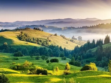 Gratitude Meditation