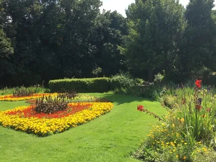 Gratitude Meditation