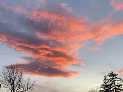 Gratitude Meditation