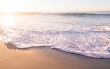 Gratitude Meditation