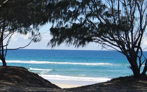 Gratitude Meditation