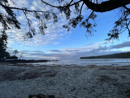 Gratitude Meditation