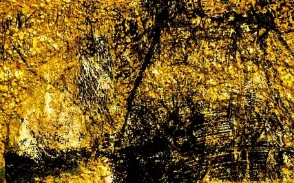 Gratitude Meditation