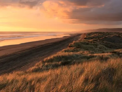 Exploring Gratitude For Everything