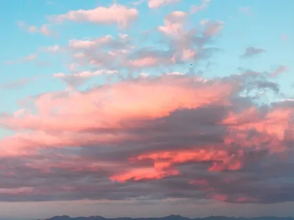 Raise Your Vibration Through Gratitude