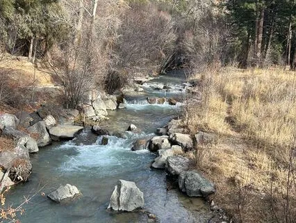 Gratitude Meditation 7 Minutes