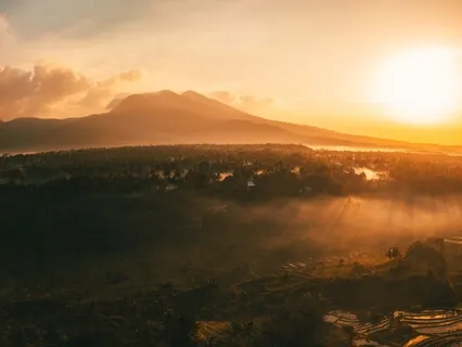 Gratitude Meditation