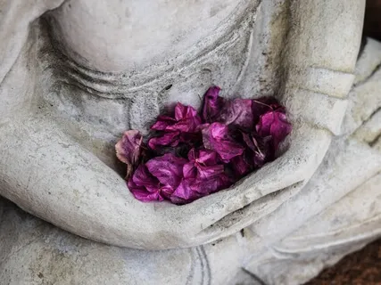 Gratitude Meditation