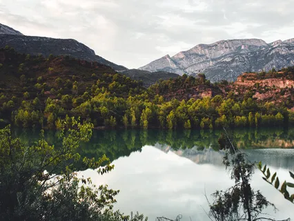 Cultivating Gratitude 