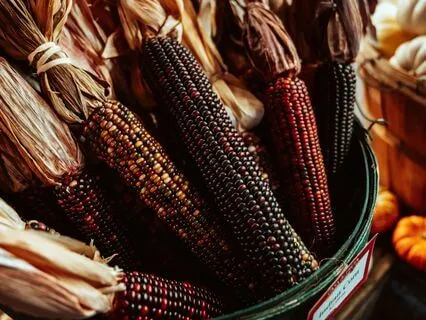 Gratitude Meditation For Before A Meal