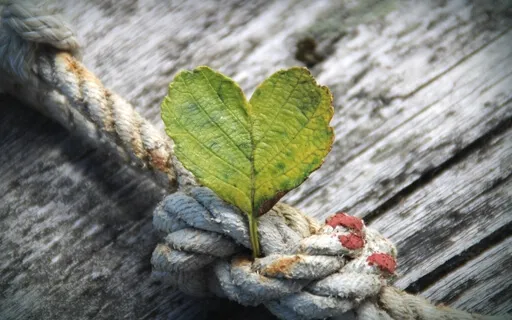 Gratitude Meditation For Thanksgiving, Joy & Well-Being