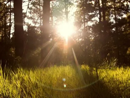 Gratitude Practice: Multiply Your Blessings