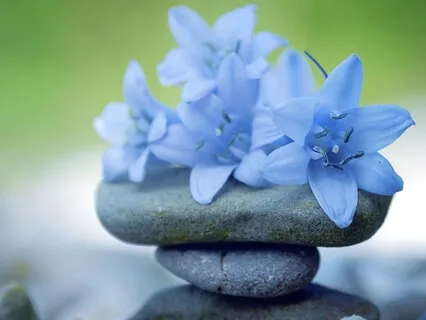 Gratitude Meditation To Appreciate What You Have