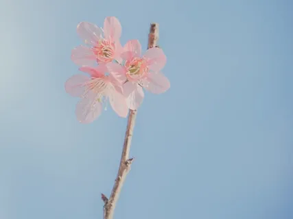 What Are You Grateful For?