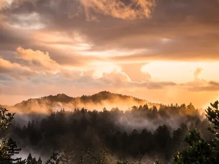 Gratitude Meditation With Breathwork