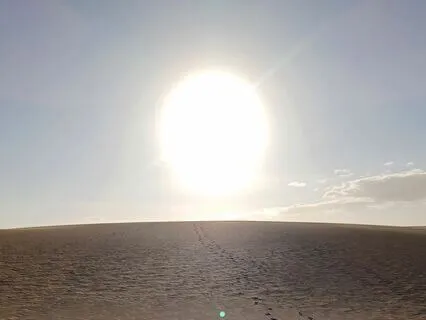 Gratitude Meditation