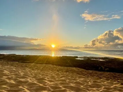 Gratitude Meditation