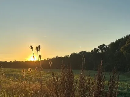 Gratitude Meditation