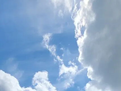 Gratitude Meditation