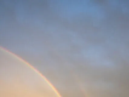 Gratitude Meditation