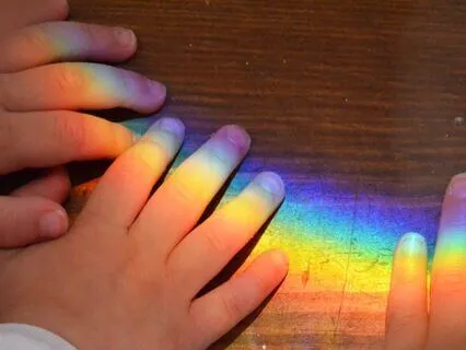 Gratitude Meditation