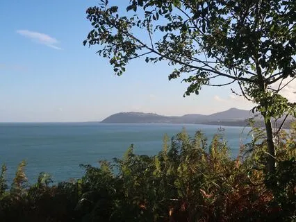 Gratitude Meditation