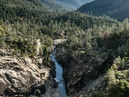 Gratitude Overflow: A Journey To Thankfulness