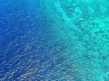 Gratitude Pause - These Are The Good Days