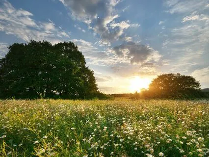 Gratitude Peace: Music For Mindful Calm