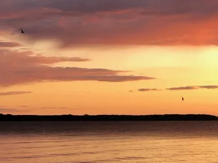 Gratitude + Connection Guided Meditation