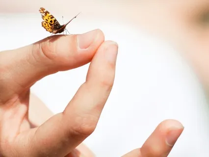 Gratitude & Positivity Morning Ritual