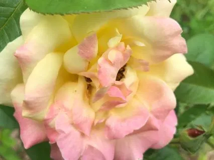 Gratitude Practice For Abundance