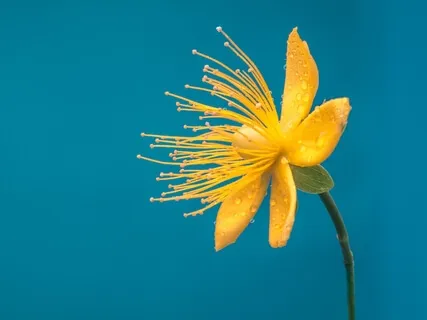 Gratitude Practice For Discomfort And Difficulty