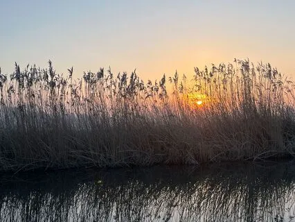 Gratitude Practice For Ending The Day