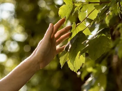 Gratitude Practice Meditation