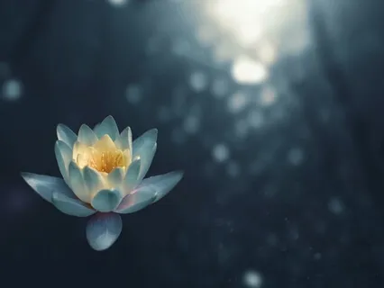 Simple Gratitude Practice To Love What Is