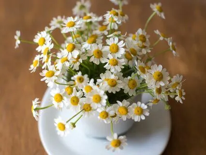 Gratitude Practice - The Little Beauties Of The Every Day